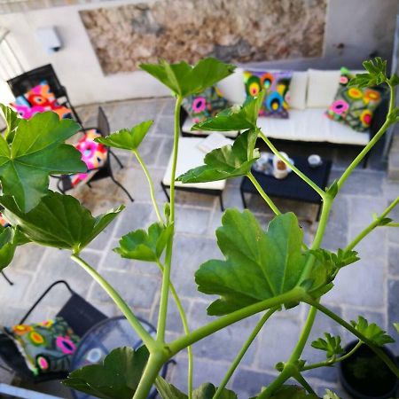 Cres Art Studio Lime Apartment المظهر الخارجي الصورة